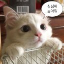 [일상] 칠월