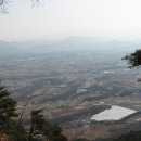 시내바이오 이미지
