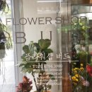플라워샵버드 이미지