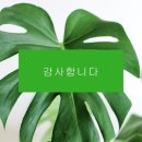 써니영어 - 종로구 종로 393-1 | 써니영어