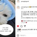 태종동물병원 이미지