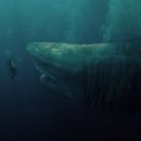 Meg 2 The Trench 이미지