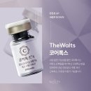 더왈츠의원 이미지