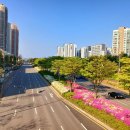 국제대로 이미지