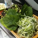 하하축산 이미지