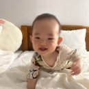 혼둘제아 네이버블로그