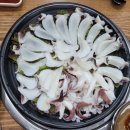 목포용금이네