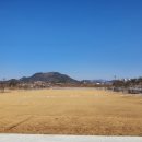 세종중앙공원 이미지
