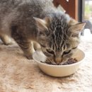 토곡동물병원 이미지