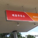 매호주유소 이미지