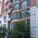 강남-238 이미지