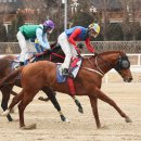 미해축산 이미지