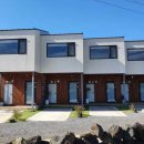 판포보름 이미지