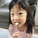 시나노골드 사과 당도 높은 양구사과 후기