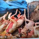 우리들 동물약품 이미지