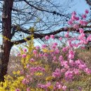 낮은 자세로 들어라 이미지