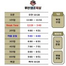 부산챔프복싱 이미지