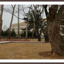 전남대정문 이미지