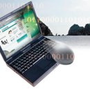 독도세탁 이미지