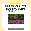 시즌아이 PC cafe | 아이랑 단풍 가을 시즌 화담숲 모노레일 예약 피켓팅 성공 후기