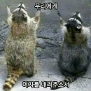 햇살좋은아침