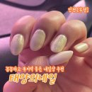 인천 부평 네일샵 추천 꼼꼼하고 유지력 좋은 네일샵 태양의 네일 방문후기 가격정보 주차정보