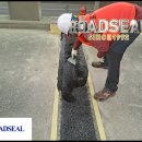 다음 그리고 이음 이미지