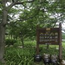 백향목숲휴양림 | 전라남도 완도펜션 독채로 우리끼리만 이용한...백향목숲휴양림