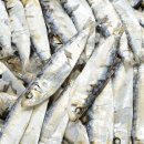 태형상회 이미지