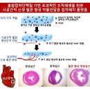 한국코엔㈜ | &#34;홍합접착단백질 이용한 혈관 형성 기술 개발&#34; POSTECH 연구팀 논문, SCI급 저명 국제학술지 등재