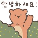 지베젤라 이미지