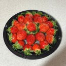 달콤한아재 | 대구 북구 침산동 24시 무인 과일가게 추천 @달콤한아재 명성푸르지오점