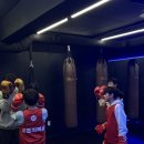 울프피트니스 | [울프킥복싱 근황] 활기 넘치는 겨울 시즌 준비! 키즈·성인부 모두 열정 UP