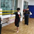 무림gym 이미지