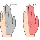 헬스보이짐 앤 필라걸 용문역점 이미지