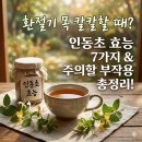 인동초교 | 인동초 효능 효과 7가지 부작용 먹는법, 환절기 목 칼칼할 때?
