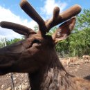 충청농산 이미지