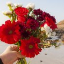 택배농장 이미지