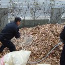 용산동서우방 이미지