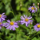 명월2리 이미지