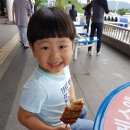 충렬밧데리 | 경남 양산 통도사 유네스코 세계문화유산 등재 사찰을 다녀오다.