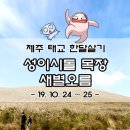 화산양돈 | [제주 태교 한달살기] 성이시돌 목장 + 새별오름 솔직 방문 후기