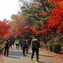 건강한 사람들의 10가지 습관 이미지