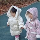 작은별어린이집 이미지