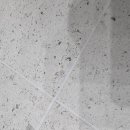 덕진-111 이미지