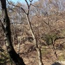 오동수 화장실 티스토리
