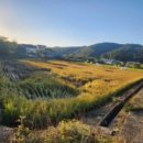 선암축사 이미지