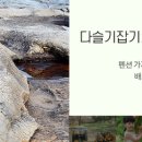 슬로우팜체험펜션 이미지