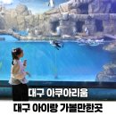 세븐일레븐 대구신천신세계점 | 대구 아이랑 가볼만한곳 실내 신세계 아쿠아리움 시간표 체험 가격