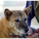 눈이야기 이미지